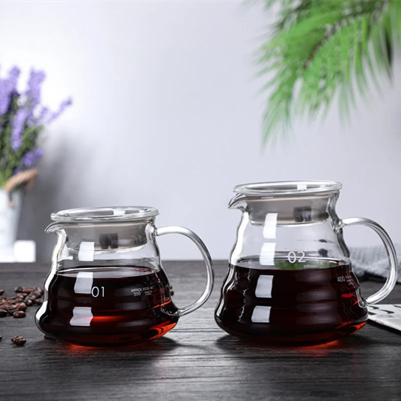 350/600/800ml Hand Brew Coffee - Coffee Equipment Wdt recensione e prezzo
